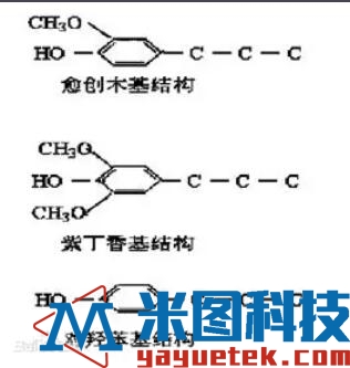 木质素单体的分子结构